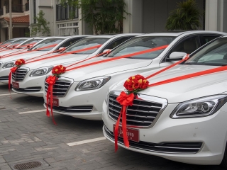 Thanh Hà – Cho thuê xe cưới hỏi Biên Hòa – Xe hoa sang trọng, đời mới